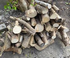 Wood Logs