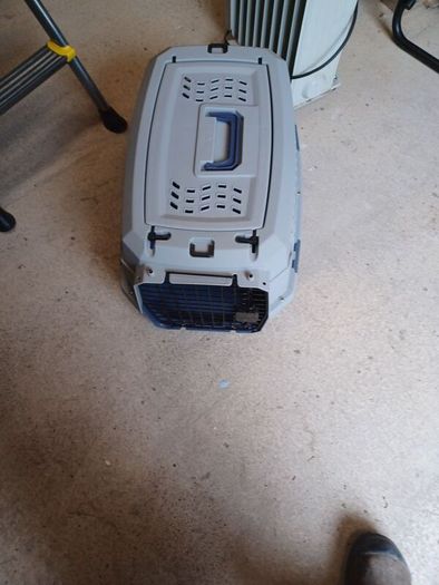 dog carrier