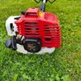 Strimmer Image 2