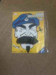 Fake Mustache, beard, eyebrows