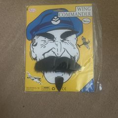 Fake Mustache, beard, eyebrows