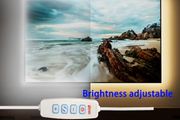 10m  999.74cm dimmable strip lights with white/natural white/warm white - Flexible, button control, adjustable brightness, easy installation,