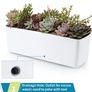 2-Pack Self Watering Planter, Rectangle Flower Pot with Water Level Indicator, Window Gardening Box for Indoor Plant, Succulent, Herb, Vegetable Image 5