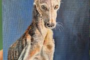 #2 Spanish Greyhound / Galgo Espaniol / oil painting on canvas panel