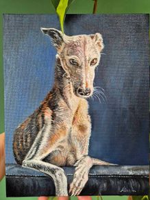 #2 Spanish Greyhound / Galgo Espaniol / oil painting on canvas panel