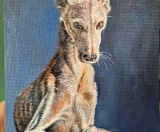 #2 Spanish Greyhound / Galgo Espaniol / oil painting on canvas panel