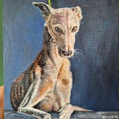 #2 Spanish Greyhound / Galgo Espaniol / oil painting on canvas panel