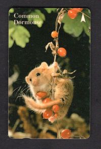 1995 Singapore 10 Common Dormouse (GPT - Magnetic) Phonecard