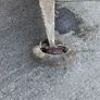 Pending - Cement mixer Image 3