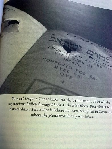 The Book Thieves Nazi looting of Europe's libraries World War 2