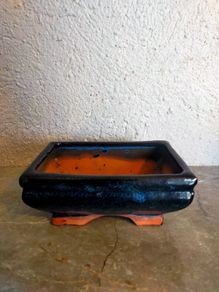 Small Bonsai Pot #1