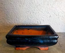Small Bonsai Pot #1