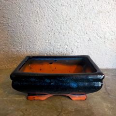 Small Bonsai Pot #1