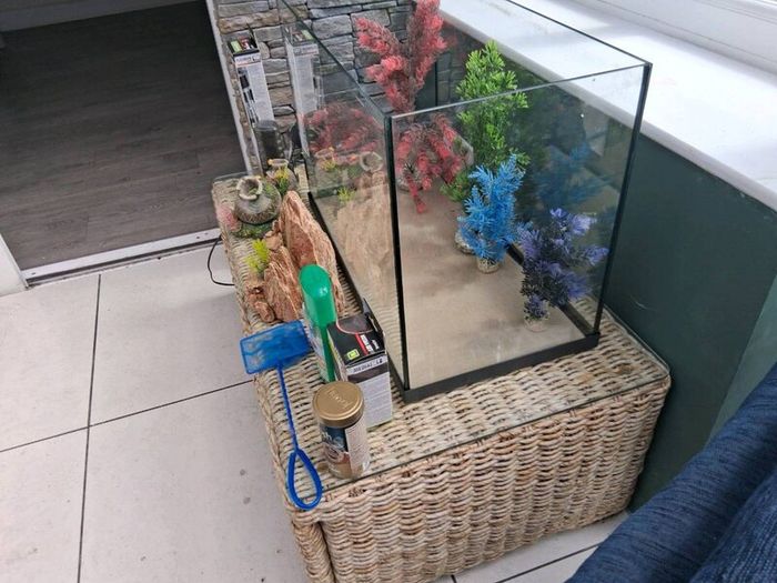 Fish tank with ornaments filters and heater. Food