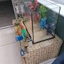 Fish tank with ornaments filters and heater. Food Image 8