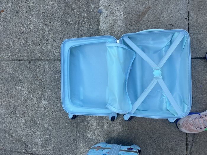 Disney Frozen suitcases