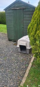 dog box