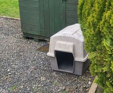 dog box