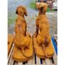 Rusty Pair of Gun Dogs D8839 Image 3