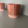 Plant Pot  13 Cm each Image 4