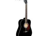 Acoustic Guitar - with Gigbag