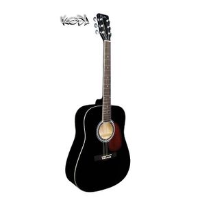 Acoustic Guitar - with Gigbag
