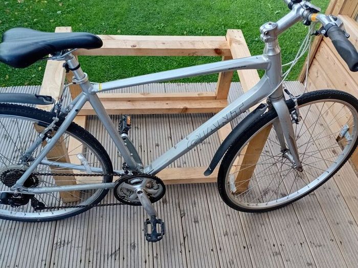 adults bike