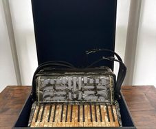 Vintage Piano Accordion