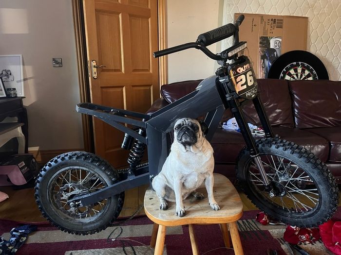ebike