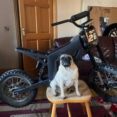 ebike