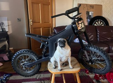 ebike
