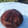 Switzer's Mink Hat Image 8