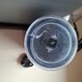 Nespresso Krups Coffee Machine Image 3