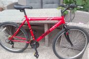 adult bike for sale