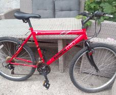 adult bike for sale