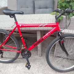 adult bike for sale