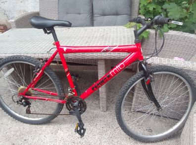 adult bike for sale