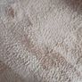 rug Image 2