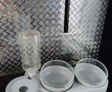 cat feeding system