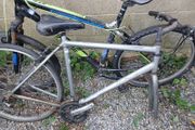 trek mountain bike