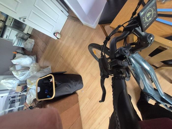 pedal assist