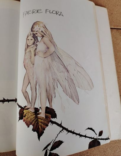 Vintage 1979 Faeries Book - Alan Lee Cover Variant (Pan Books First Printing)