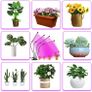 4 Heads Plant Grow Light with Remote Control, 80 LEDs Grow Lamp for Indoor Plants, 10 Dimming Level with Timer Full Spectrum Adjustable Gooseneck. Image 6