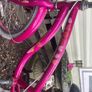Beautiful 20 inc girls bike Image 4