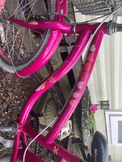 Beautiful 20 inc girls bike