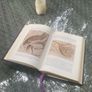A Lifetime Library - 33 Books - Brenner, Heptinstall & 14 Gryphon Leather Classics of Medicine - One Collection Image 9