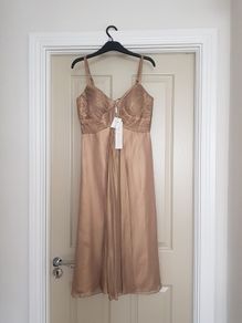 Gina Bacconi Dress New