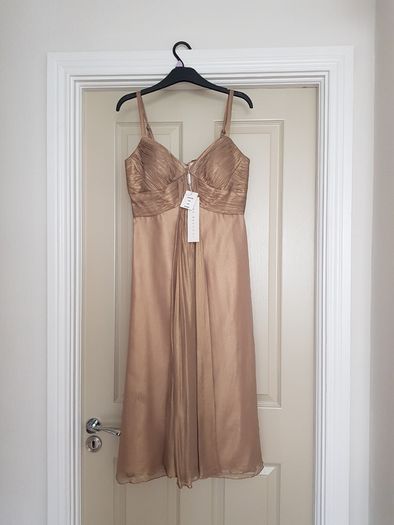 Gina Bacconi Dress New