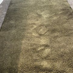 IKEA moss green rug free
