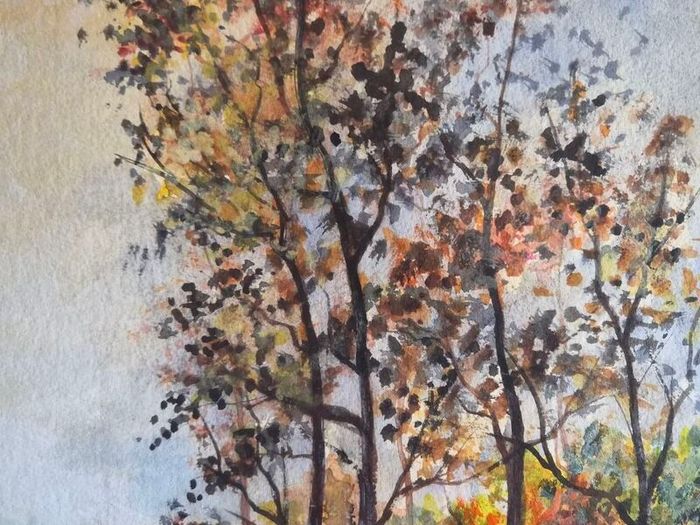 Large Framed Signed Carberry Watercolour Landscape 62 x 90 cm